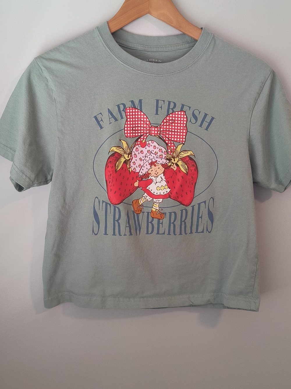 Strawberry Shortcake Farm Fresh Graphic Crop T-Shirt Green Size M